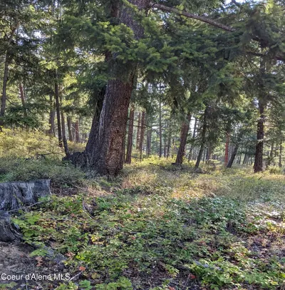 Property 26-2586 - Photo 3