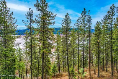 Property 25-8352 - Photo 4