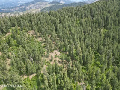 Property 26-10426 - Photo 7