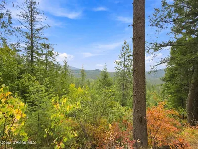 Property 26-8724 - Photo 5