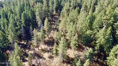 Property 26-9441 - Photo 11