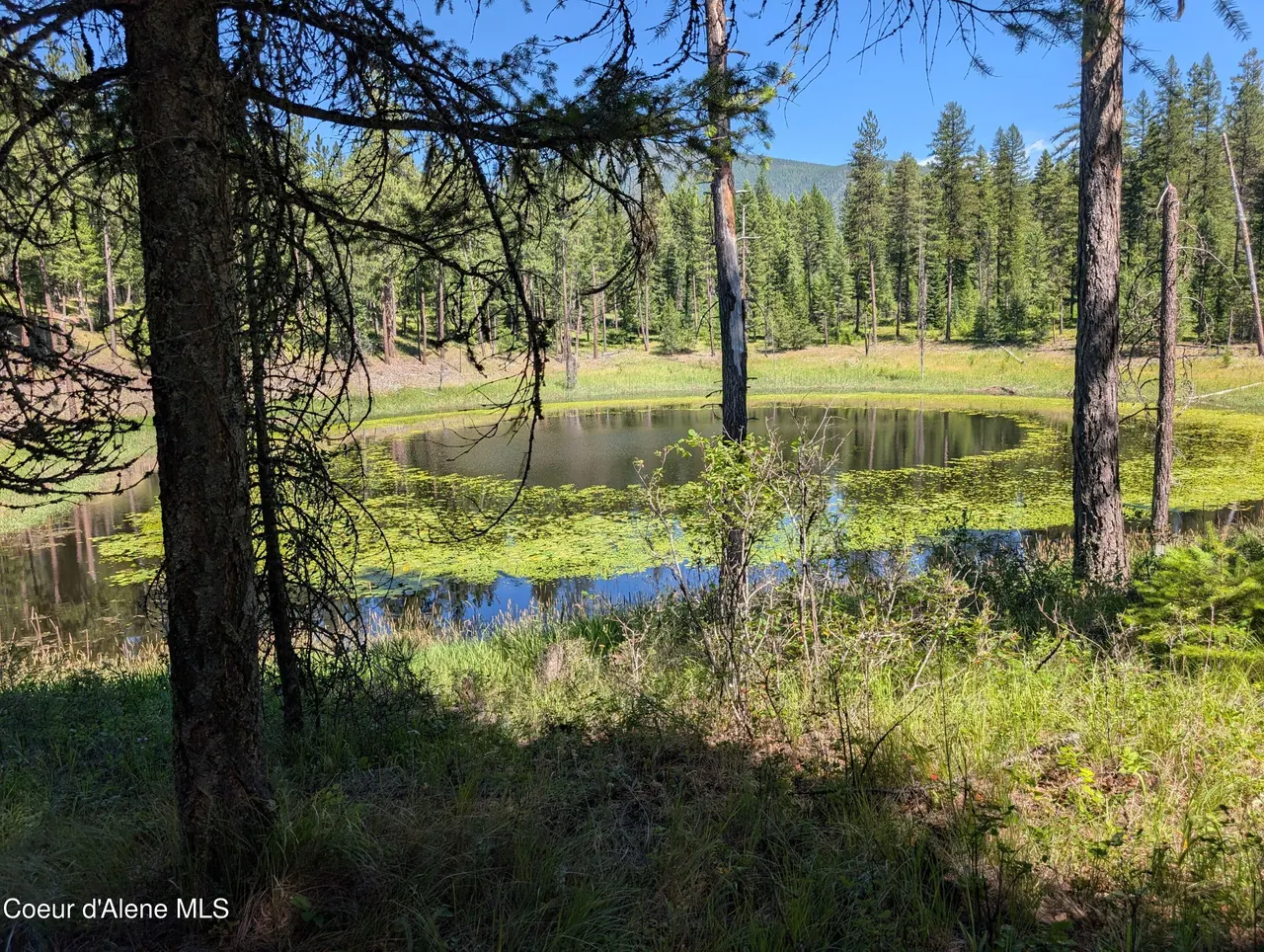 Property 25-1668 - Photo 1