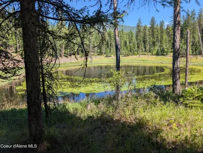 Property 25-1668 - Photo 1