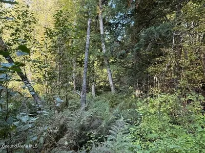 Property 26-9635 - Photo 6