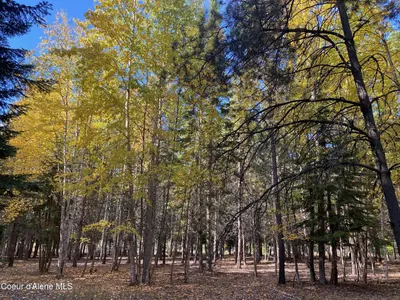 Property 26-2687 - Photo 16