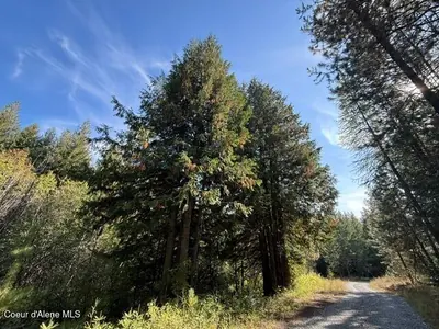 Property 26-9635 - Photo 9