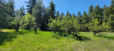 Property 25-5745 - Photo 19