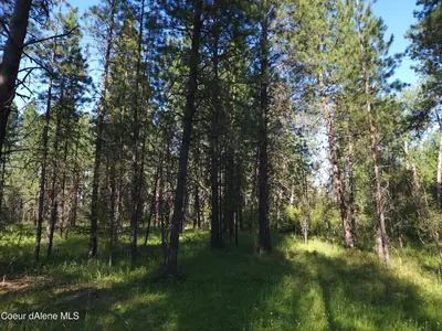 Property 26-8773 - Photo 16