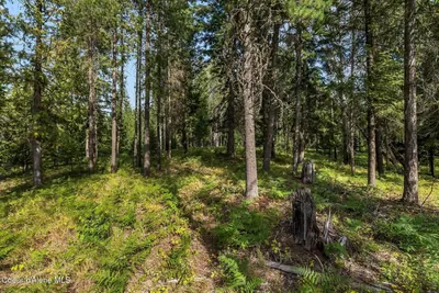Property 25-8553 - Photo 14