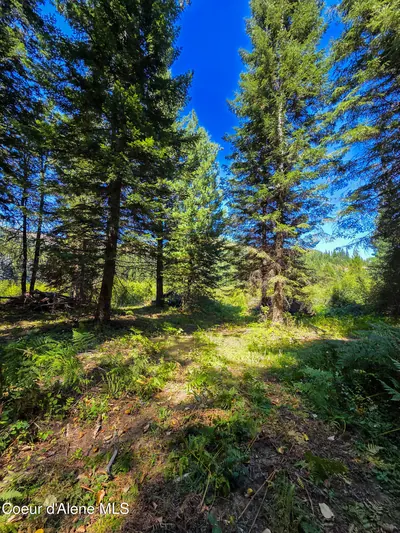 Property 26-2032 - Photo 6