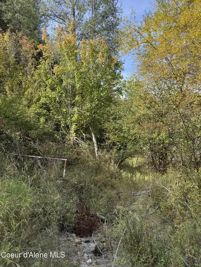 Property 26-10583 - Photo 6