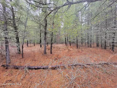 Property 26-2474 - Photo 2