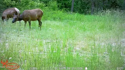 Property 26-7348 - Photo 20