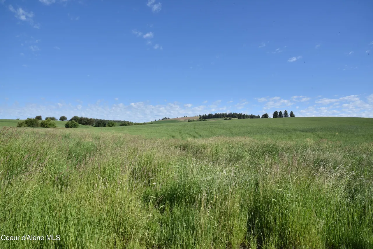 Property 26-7351 - Photo 1