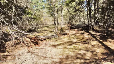 Property 26-9441 - Photo 20
