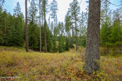 Property 26-9926 - Photo 4