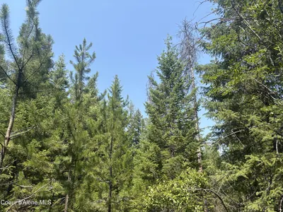 Property 26-8238 - Photo 13