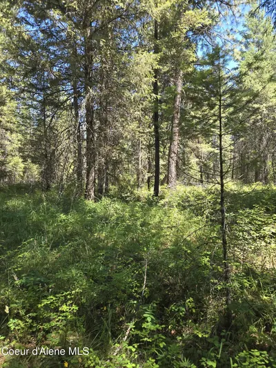 Property 26-8446 - Photo 9