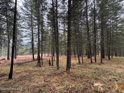 Property 26-10581 - Photo 27