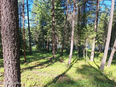 Property 26-6465 - Photo 6