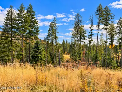 Property 26-10525 - Photo 52