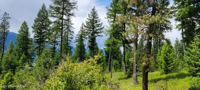 Property 26-1188 - Photo 3