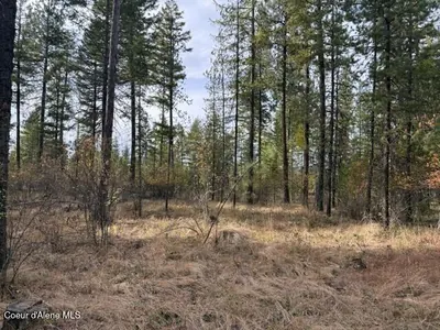 Property 26-10384 - Photo 2