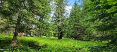 Property 26-9415 - Photo 7