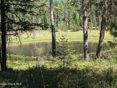 Property 25-1668 - Photo 13