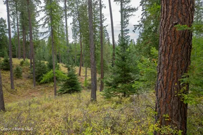 Property 26-9926 - Photo 6