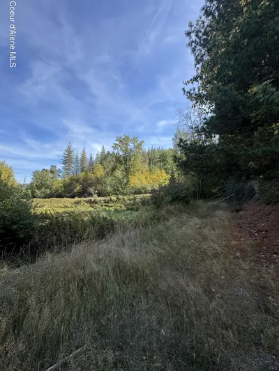 Property 26-10583 - Photo 3