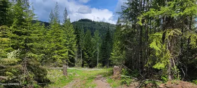 Property 26-5549 - Photo 10