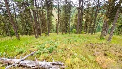 Property 26-8169 - Photo 3