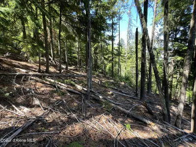 Property 26-4197 - Photo 6