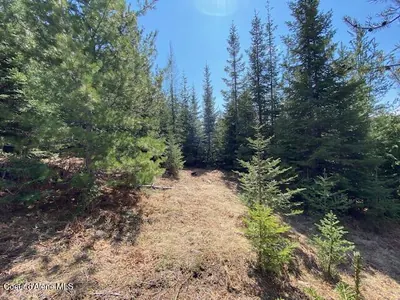 Property 25-4559 - Photo 29
