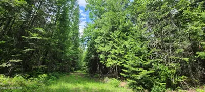 Property 26-5846 - Photo 3