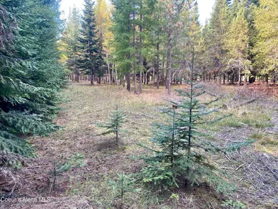 Property 26-2687 - Photo 22