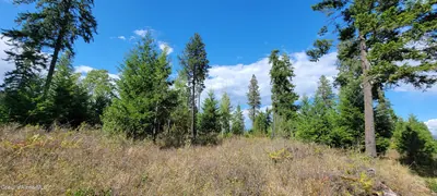 Property 26-9671 - Photo 4