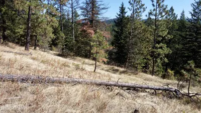 Property 26-9441 - Photo 18