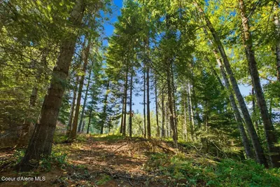 Property 26-8895 - Photo 8