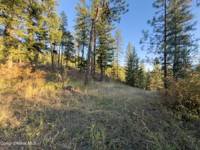 Property 26-10003 - Photo 31