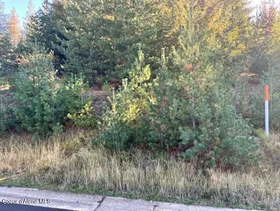 Property 26-9991 - Photo 5
