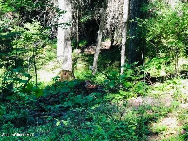Property 26-6208 - Photo 1