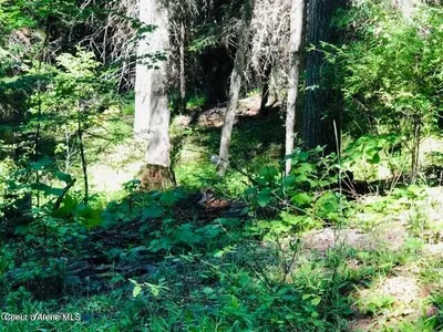 Property 26-6208 - Photo 1