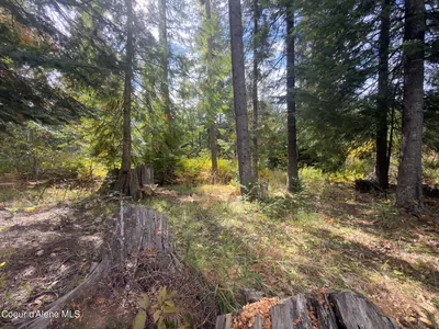 Property 26-9938 - Photo 67