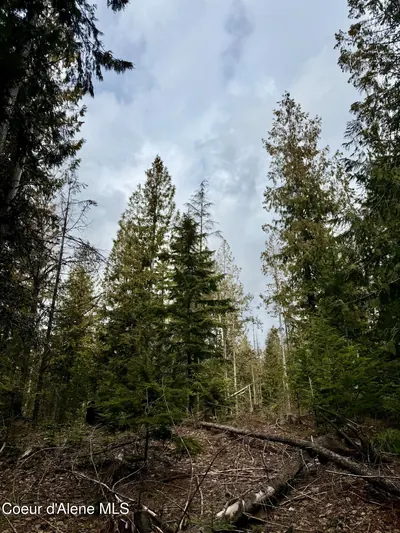 Property 26-2440 - Photo 26