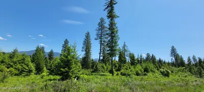 Property 26-5087 - Photo 9