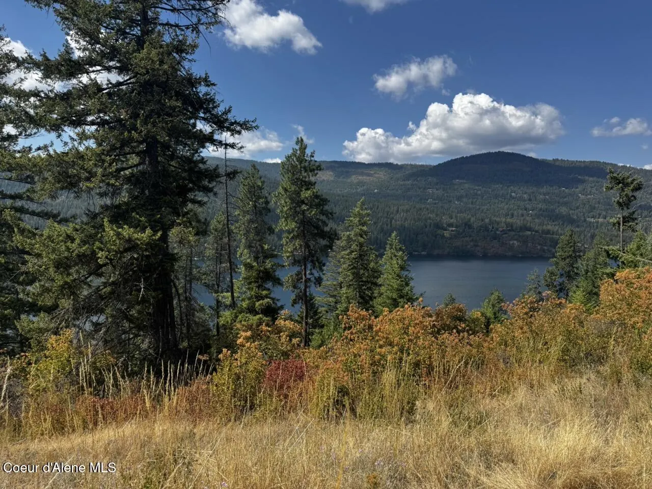 Property 26-2901 - Photo 1