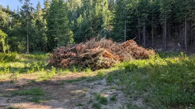 Property 25-8016 - Photo 6