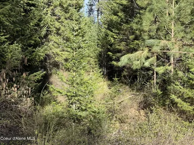 Property 26-4065 - Photo 6